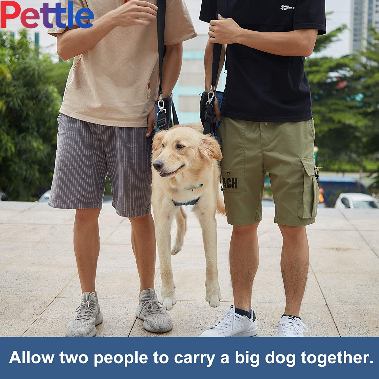 Dog Carry Sling, Emergency Backpack Pet Legs Support & Rehabilitation Dog Lift Harness for Nail Trimming, Dog Carrier for Senior Dogs Joint Injuries, Arthritis, up and down Stairs(2Xl, Blue)
