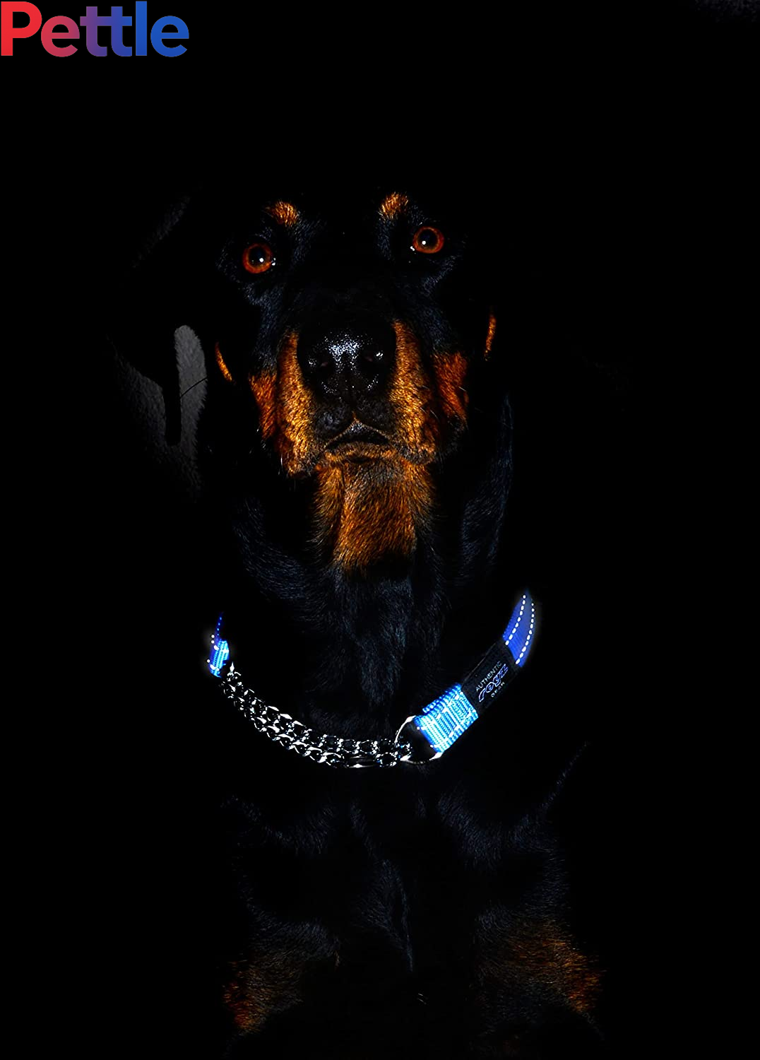 Reflective Nylon Choke Collar; Slip Show Obedience Training Gentle Choker for Medium Dogs, Orange